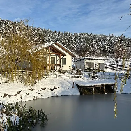 Noia Caban Villa Piatra Neamt Exterior photo